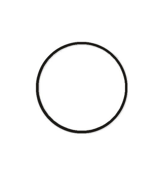 A simple personality circle without inner symbols: the first boundary and container of the I.